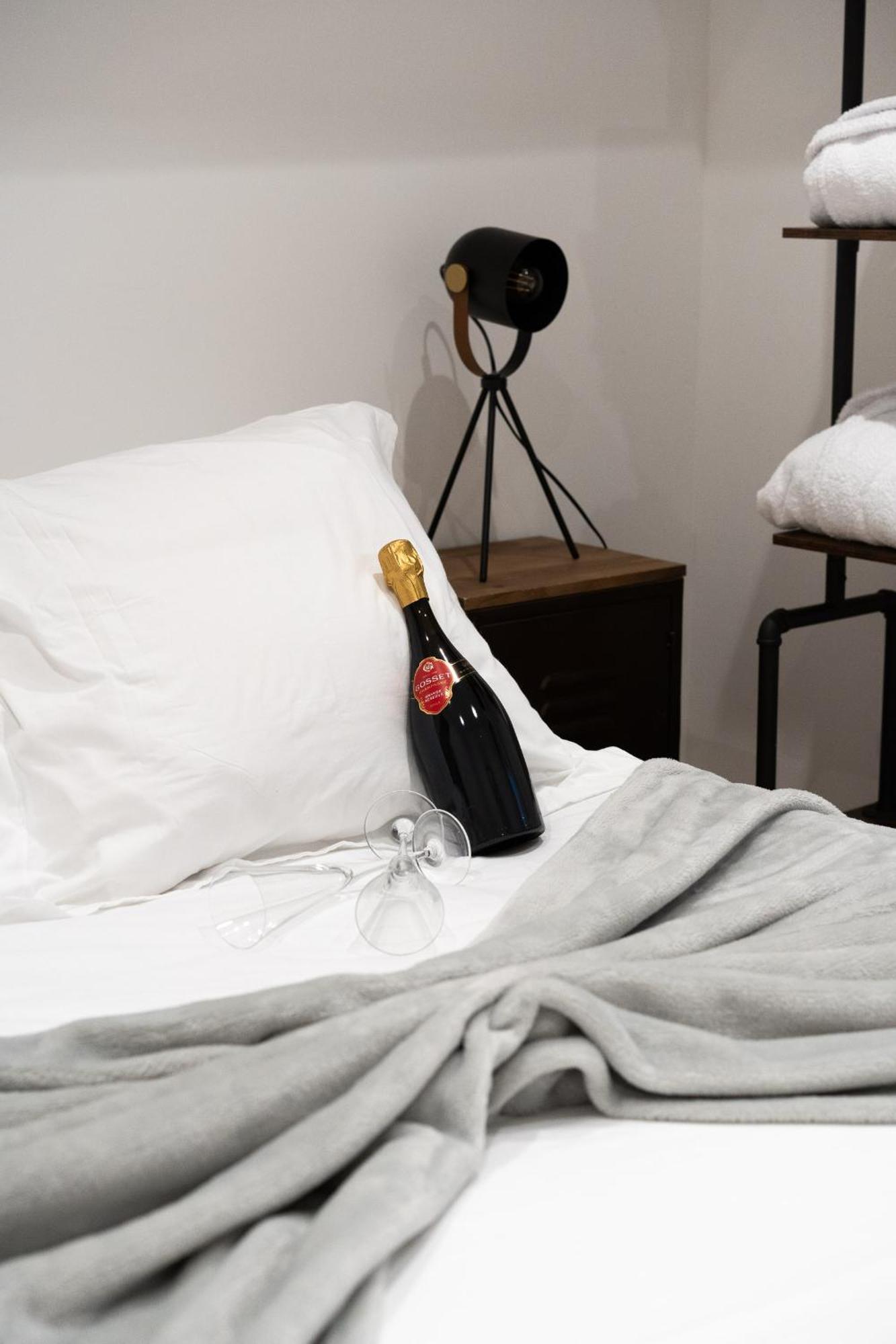 Appartement Loft Mehari - Le Meridien A Charbonniere Les Bains - Parking - Netflix - Wifi Charbonnières-les-Bains